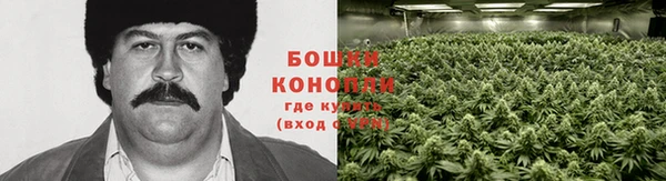 бошки Белокуриха