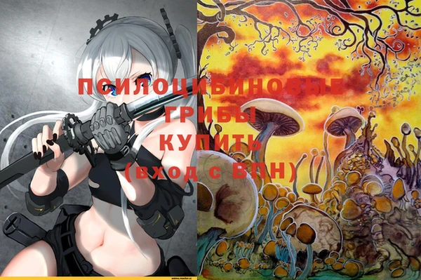 бошки Белокуриха
