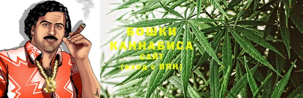 бошки Белокуриха