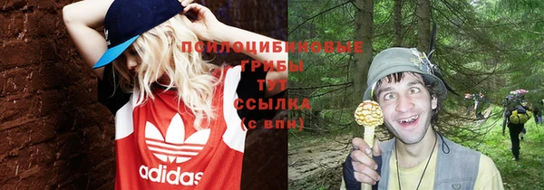 бошки Белокуриха